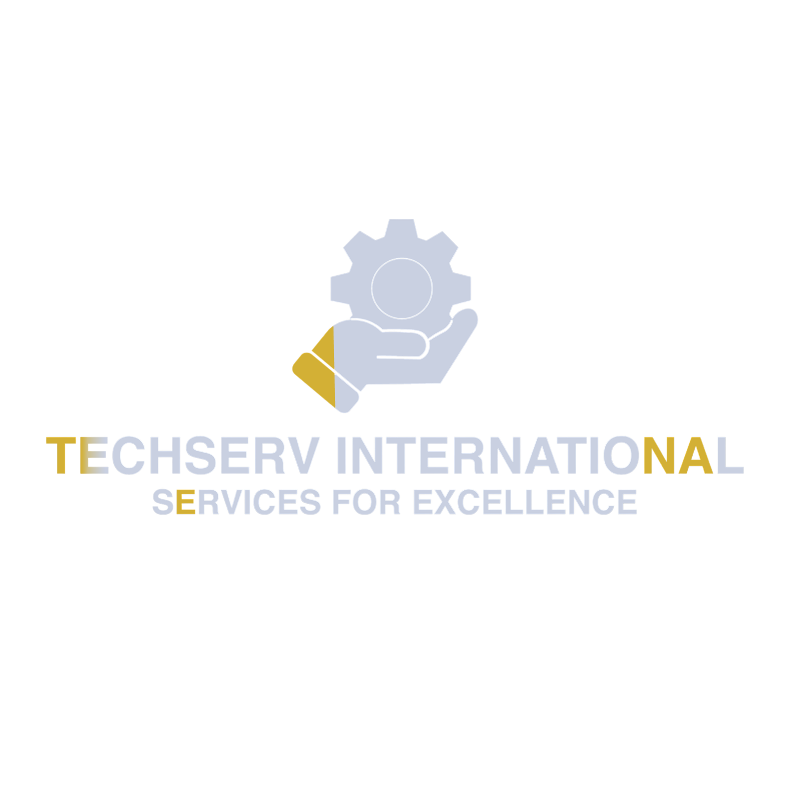 TechServ International